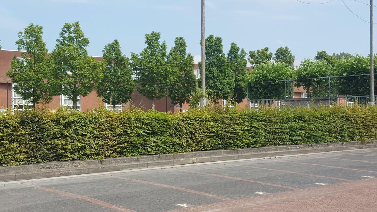 Jamiek'S Bnb Amsterdam Eksteriør billede
